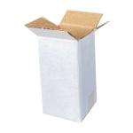 Single Wall Cardboard Box 30x30x60 mm White