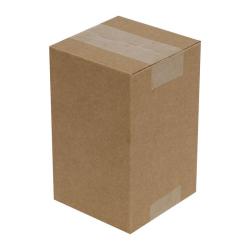 Single Wall Cardboard Box 100x100x160 mm Brown