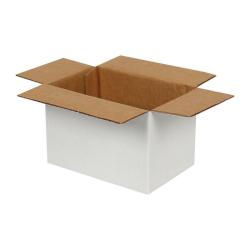 Single Wall Cardboard Box 150x100x100 mm White