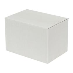Single Wall Cardboard Box 150x100x100 mm White