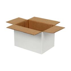 Single Wall Cardboard Box 200x100x100 mm White