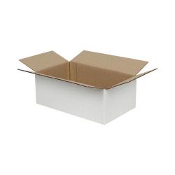 Single Wall Cardboard Box 200x150x100 mm White