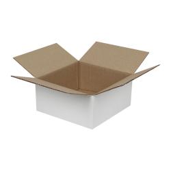 Single Wall Cardboard Box 200x200x100 mm White
