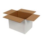 Single Wall Cardboard Box 250x100x120 mm White