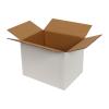 Single Wall Cardboard Box 250x100x120 mm White
