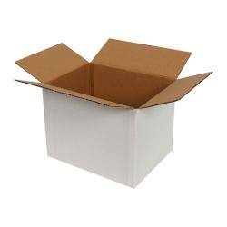 Single Wall Cardboard Box 250x100x120 mm White