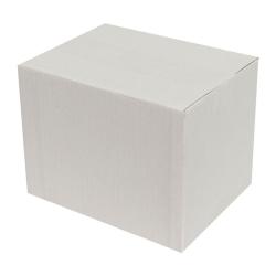 Single Wall Cardboard Box 250x100x120 mm White