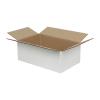 Single Wall Cardboard Box 250x150x100 mm White