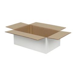 Single Wall Cardboard Box 250x150x100 mm White
