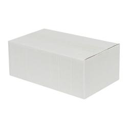 Single Wall Cardboard Box 250x150x100 mm White