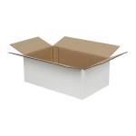 Single Wall Cardboard Box 250x200x100 mm White