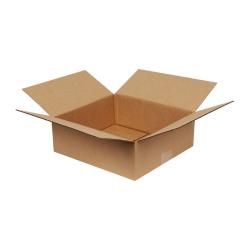 Single Wall Cardboard Box 300x250x120 mm Brown