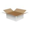 Single Wall Cardboard Box 300x250x120 mm White