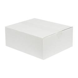 Single Wall Cardboard Box 300x250x120 mm White