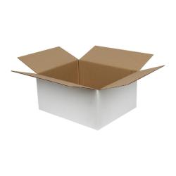 Single Wall Cardboard Box 300x250x150 mm White