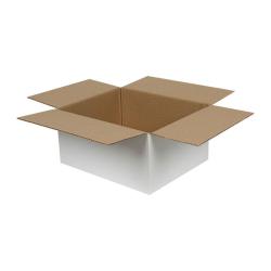 Single Wall Cardboard Box 300x250x150 mm White