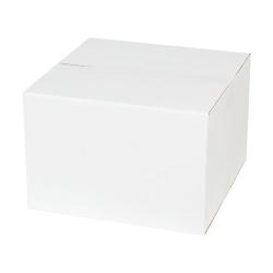 Single Wall Cardboard Box 300x300x200 mm White