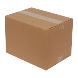 Double Wall Cardboard Box 300x200x250 mm Brown T01