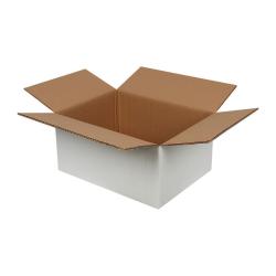 Double Wall Cardboard Box 400x300x200 mm White 