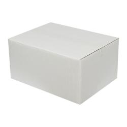 Double Wall Cardboard Box 400x300x200 mm White 