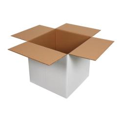 Double Wall Cardboard Box 450x450x450 mm White 