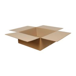 Double Wall Cardboard Box 500x500x200 mm Brown 