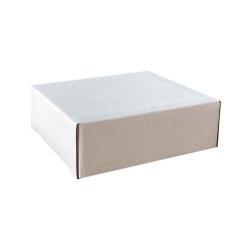 Fast Assembly Cardboard Box 80x30x95 mm White