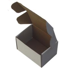 Easifold Courier Box 120x80x65 mm White