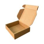 Easifold Courier Box 120x100x30 mm Brown