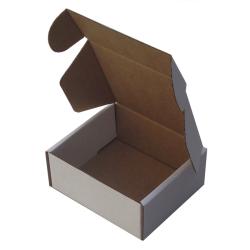 Easifold Courier Box 120x100x45 mm White