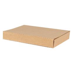 Cardboard Book Box 265x200x40 mm Brown