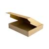 Easifold Courier Box 300x220x55 mm Brown