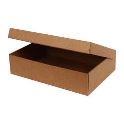 Easifold Courier Box 320x220x80 mm Brown