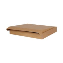 Easifold Courier Box 770x540x80 mm Brown