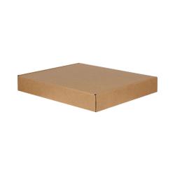 Easifold Courier Box 770x540x80 mm Brown